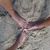 Christina Cox-Tyner's profile image