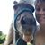 Kendra Staley's profile image