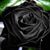RosNikita Lee's profile image