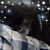Pauline Crawford's profile image