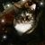 Wilma Broyles's profile image