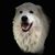 Lisa Richardson Oakley's profile image