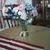Debra Laub's profile image