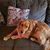 Janet McGuiggan Watt's profile image
