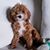 Fred Clara Barlow's profile image