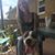 Dana DeMeo's profile image