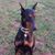 Sandra Whitlock's profile image