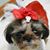Jeanette Sliker's profile image