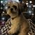 Debra Jackson LaTray's profile image