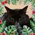 Noah Marks's profile image
