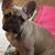 Dee Dee Mieres's profile image