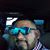 Estrada Felix Jose's profile image