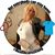 Candy Barnes Hampton's profile image