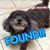 Nicole Casidy's profile image