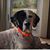 Nadine Thomas's profile image