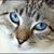 Kathleen D Riel's profile image
