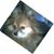 Sharon Mahon's profile image