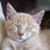 Tina Ledbetter's profile image