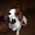 Ellen Evens's profile image
