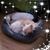 Jeanette Carroll's profile image