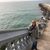 Bronwyn Blair Mitchel's profile image