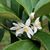 Pam Johnston's profile image