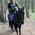 Kelly Hodge's profile image