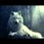 Wendy Urbaniak's profile image