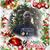 George Dillon's profile image
