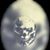 Dan Ray Leonard Jr.'s profile image