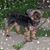 Bobbie McAfoose Harmon's profile image