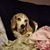 Kristi K Barz Mashek's profile image