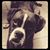 Dennise Bender's profile image