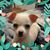Malena Rubio's profile image
