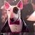 Ian Pratt's profile image