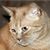 Deb Archambeau's profile image