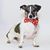 Patricia Commiskey's profile image