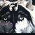 Jody Miller's profile image