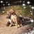 Alma Sonia Rendon's profile image