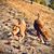 Benny S Goodliffe's profile image