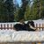Lisa Knight Olson's profile image