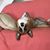 Susan Overton's profile image