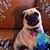 Gail Lund-Carter's profile image