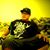Steven Chansone's profile image