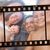 James AndStefanie O'Brien's profile image