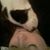 Tracy Craig's profile image