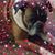Karin Ballard's profile image