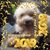 Gerry Jaksic-Thompson's profile image