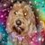 Jamie Garno Kittle's profile image