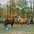 Susan Smith's profile image